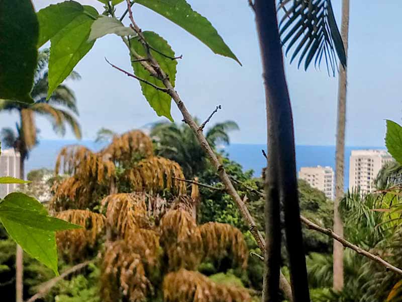 São Conrado – Casa em Condomínio