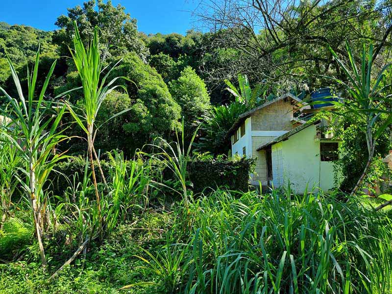 Piabas – Terreno com duas casas