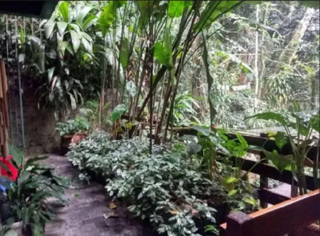 São Conrado – Estrada da Canoa – 3 quartos – 350 m²