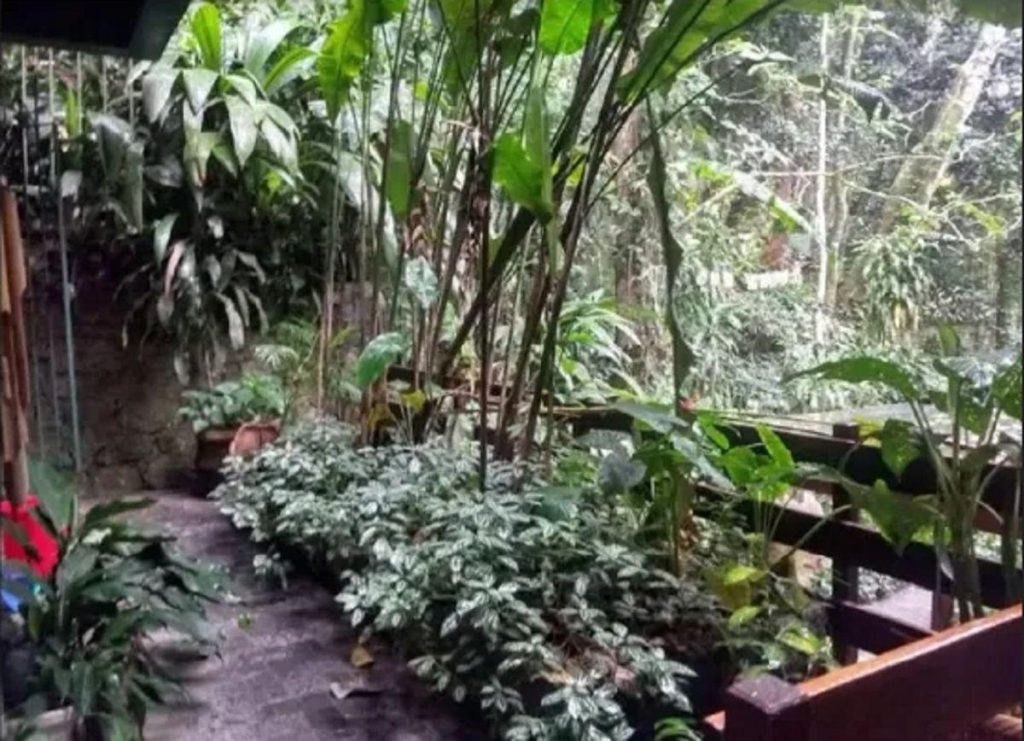 São Conrado – Estrada da Canoa – 3 quartos – 350 m²