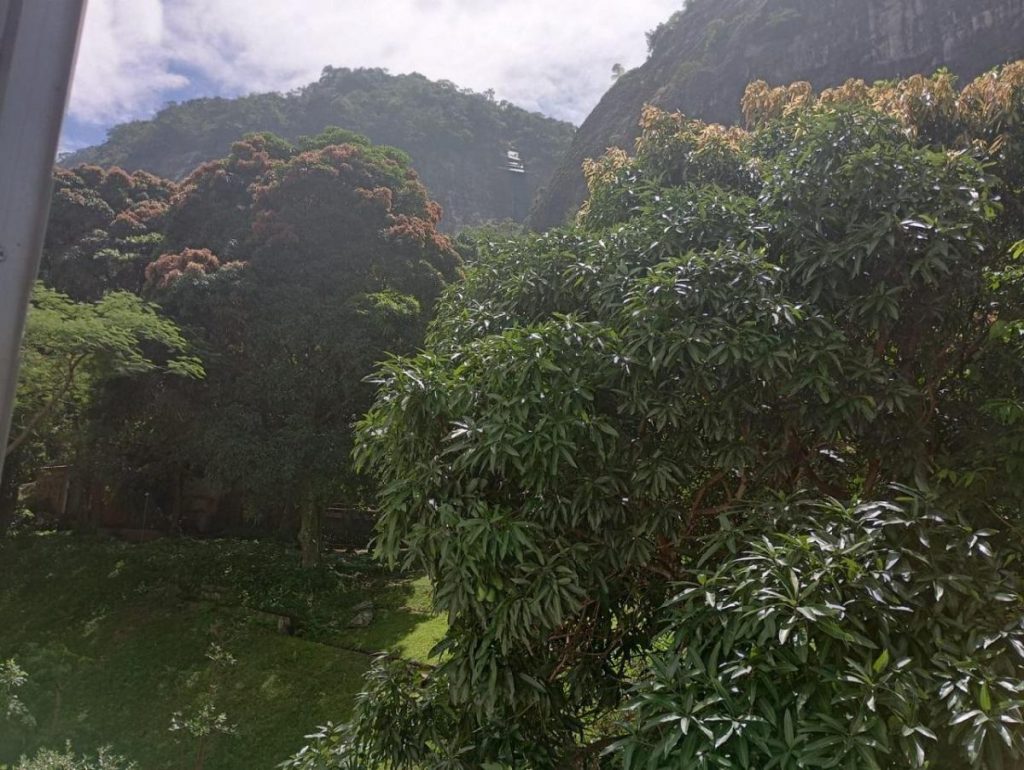 Itanhangá – Itanhangá Hills – 4 quartos – 256m² – R$2.080.000,00