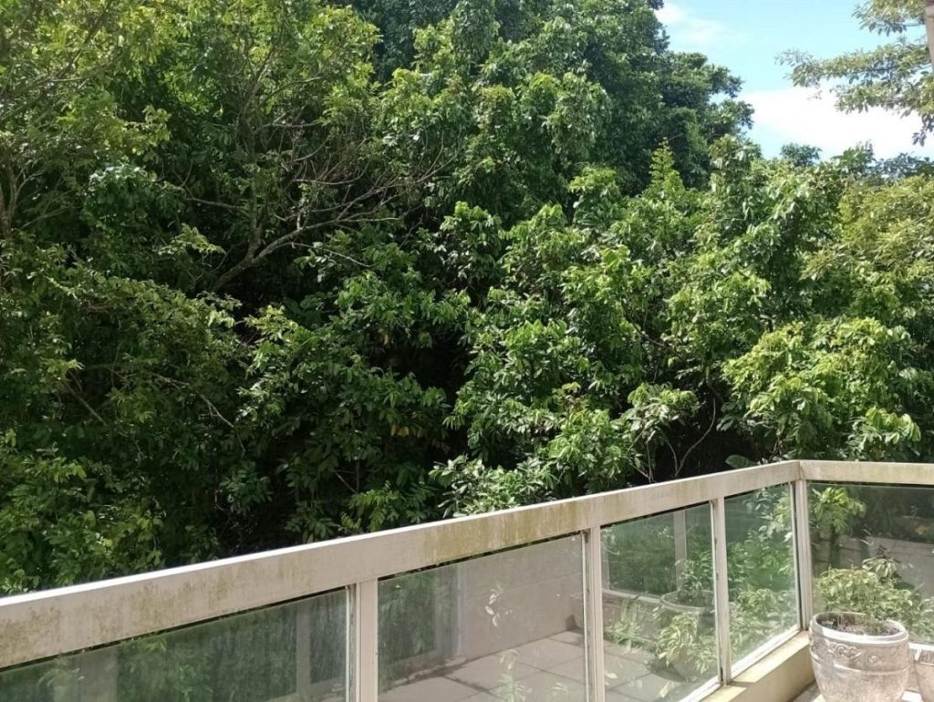 Itanhangá – Itanhangá Hills – 4 quartos – 256m² – R$2.080.000,00
