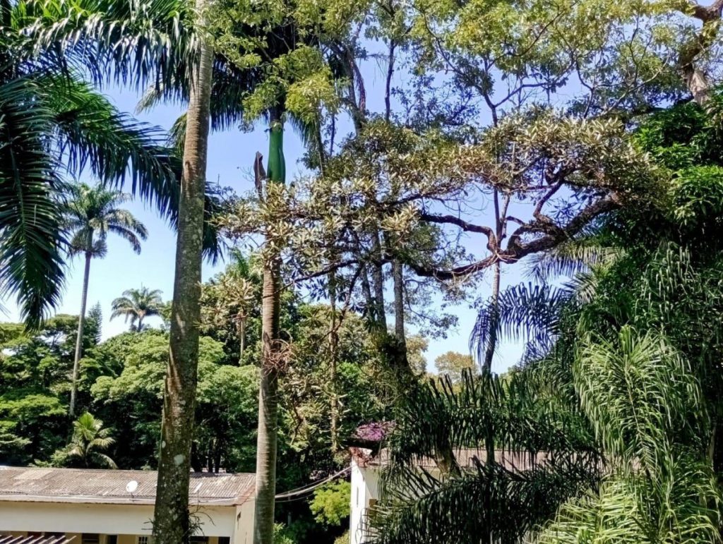 São Conrado – Casa em Condomínio – 3 quartos – 276 m²