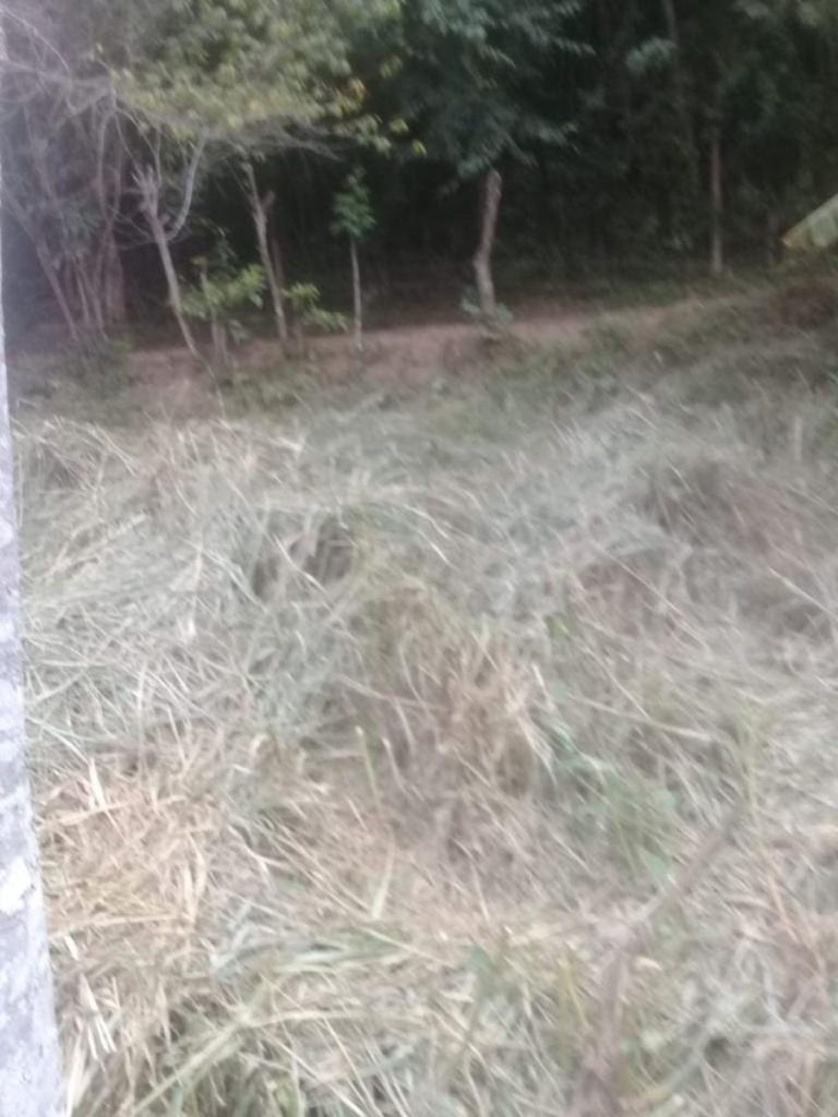 Vale das Videiras – Petrópolis – 2 Lotes – 4.050 m² – R$250.000,00