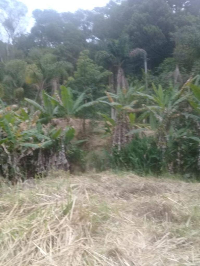 Vale das Videiras – Petrópolis – 2 Lotes – 4.050 m² – R$250.000,00