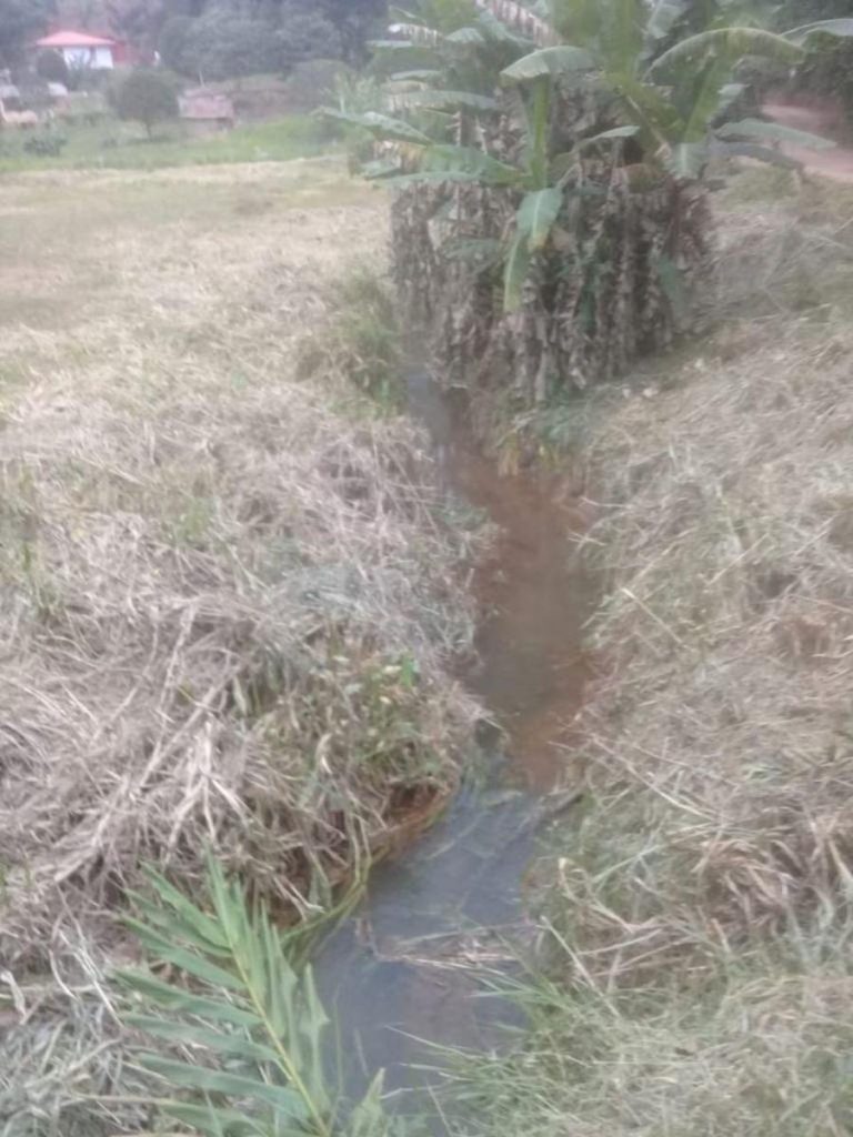 Vale das Videiras – Petrópolis – 2 Lotes – 4.050 m² – R$250.000,00