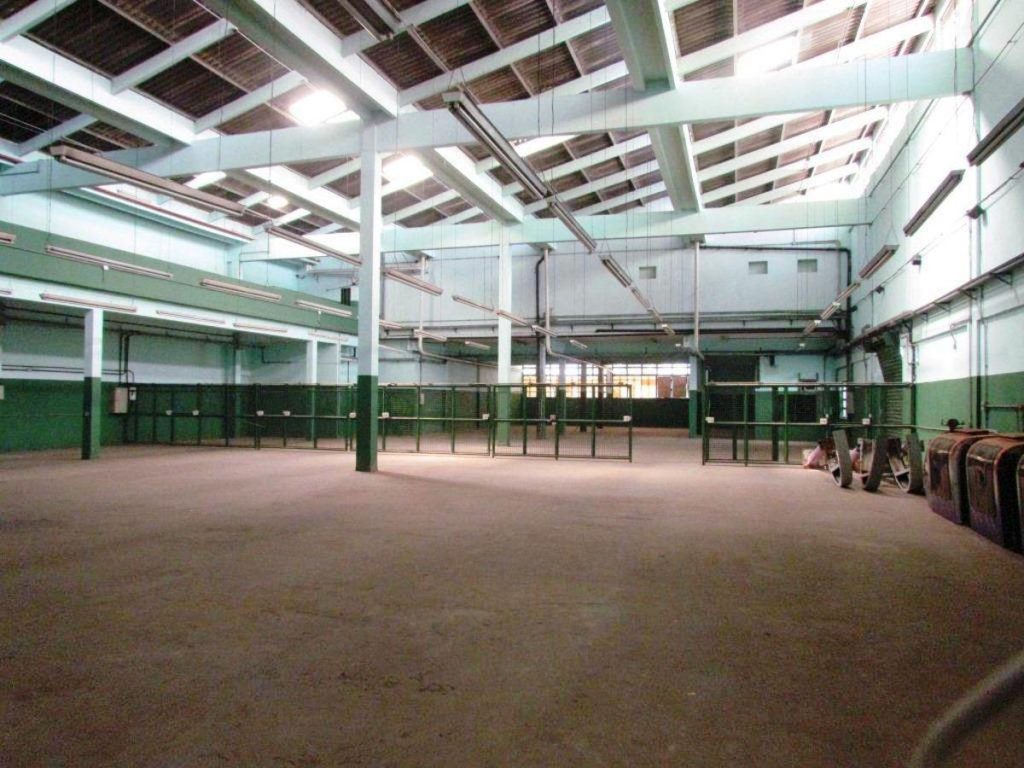 Galpão – São Cristóvão – Rua Melo e Souza – 3.373 m² – R$75.000,00
